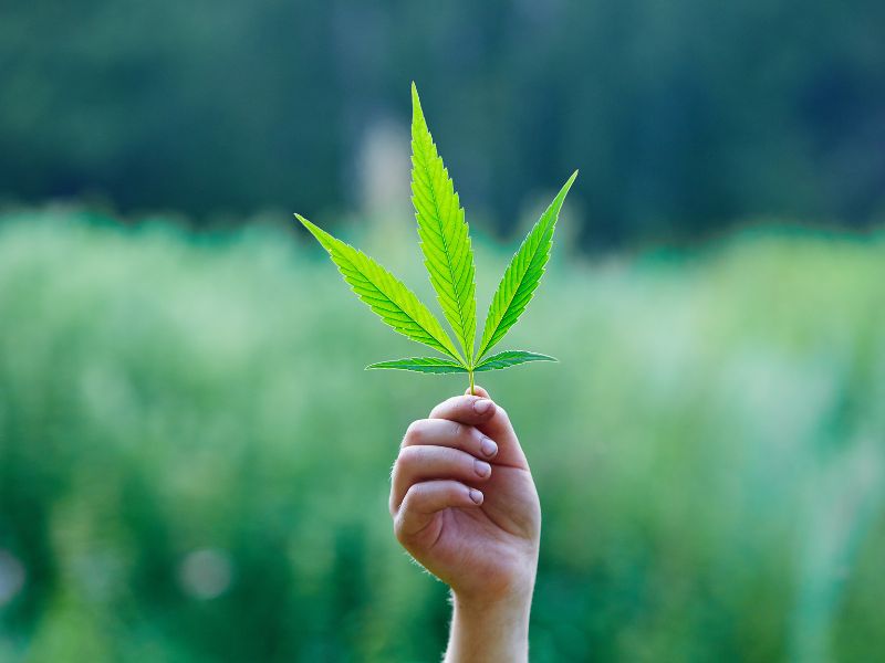 Microdosing THC: Maximizing Benefits While Minimizing Intoxication