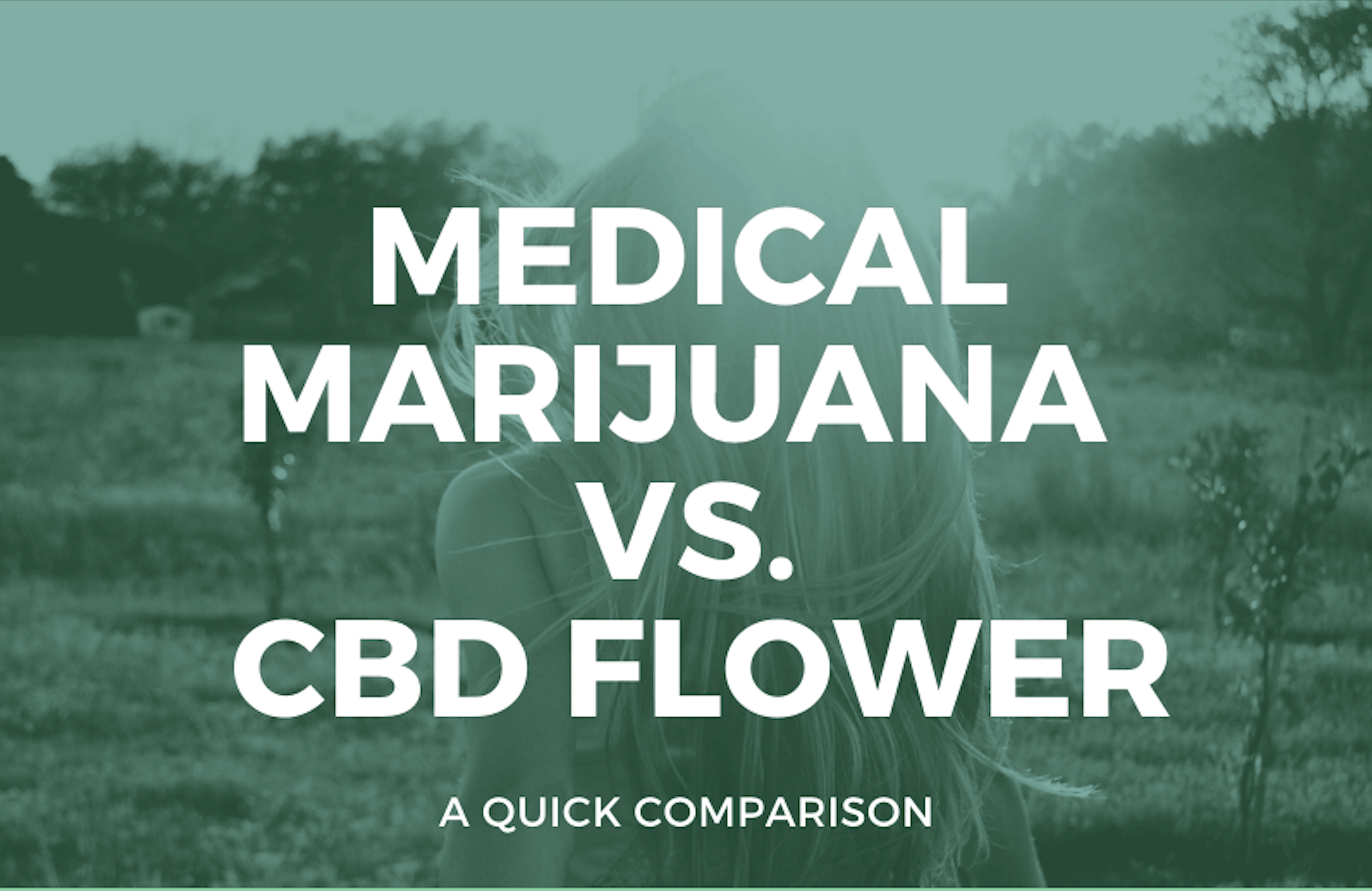 medical-marijuna-vs-cbd-flower