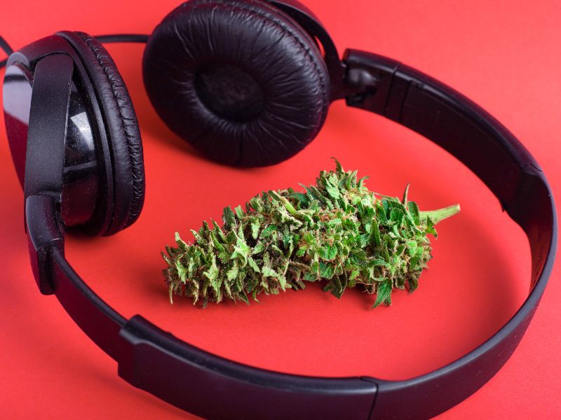 headphones and cannabis flower
